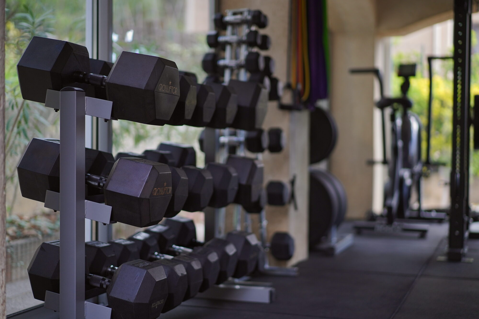 Rack de dumbbells dans le studio